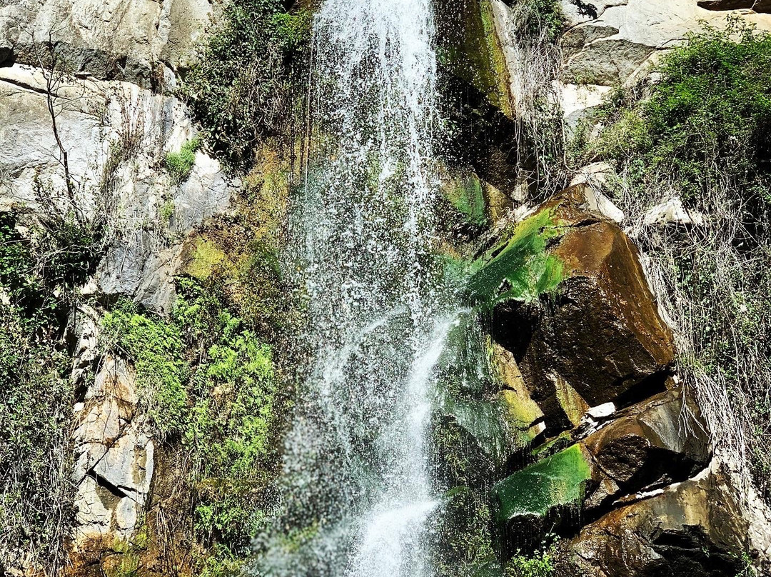 Sturtevant Falls Trail景点图片
