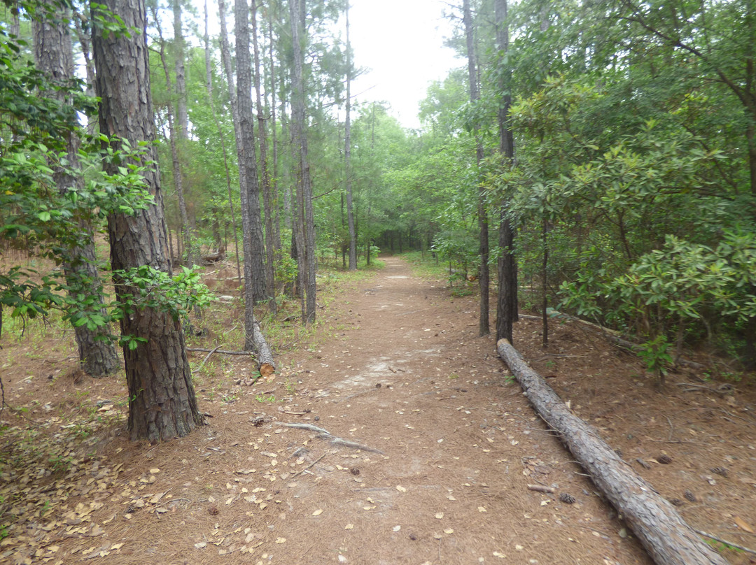 Goodale State Park-Camden必去景点