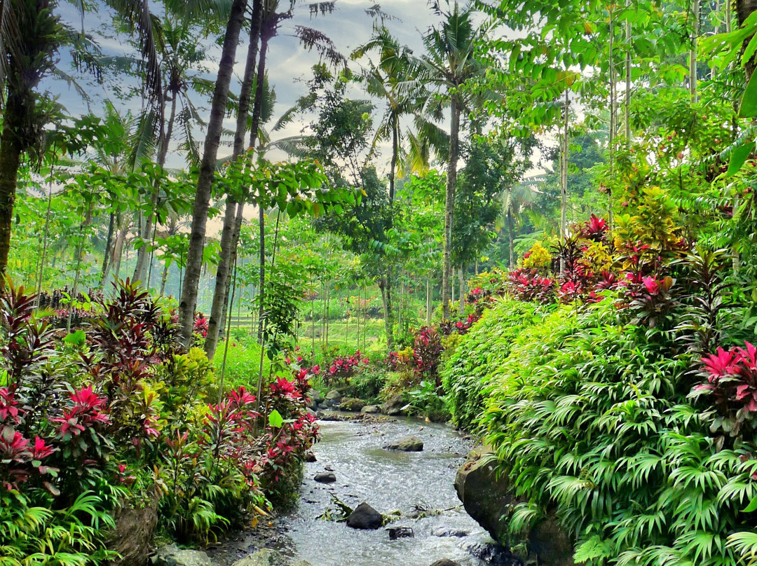 Plantage de Grote Tuin-Kalibaru必去景点