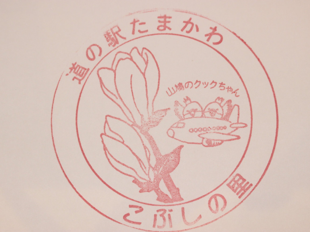 Michi-no-Eki Tamakawa Kobushi no Sato-玉川村必去景点
