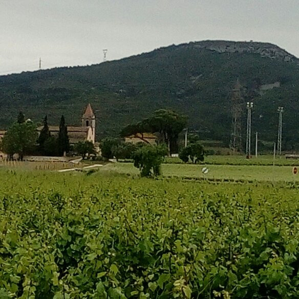 Sant Pere Molanta旅游攻略图片