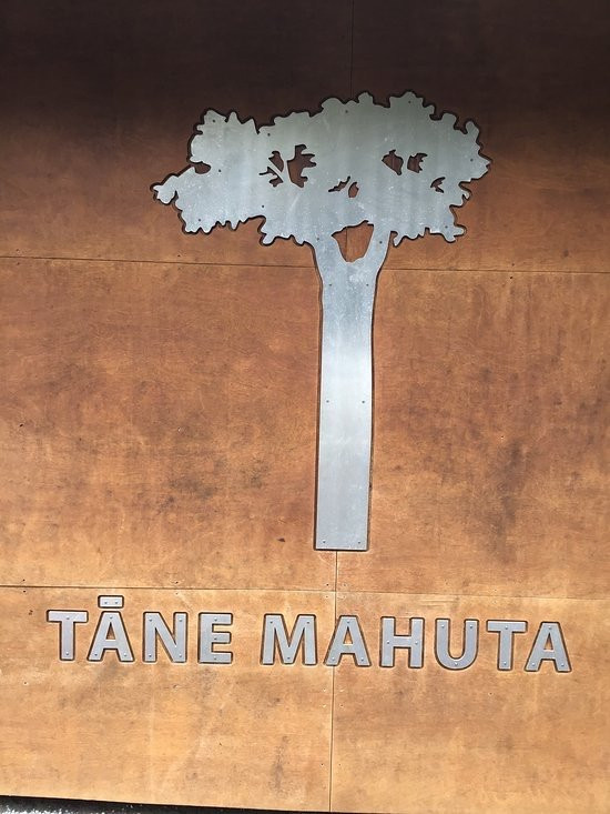 Waipoua Forest景点图片