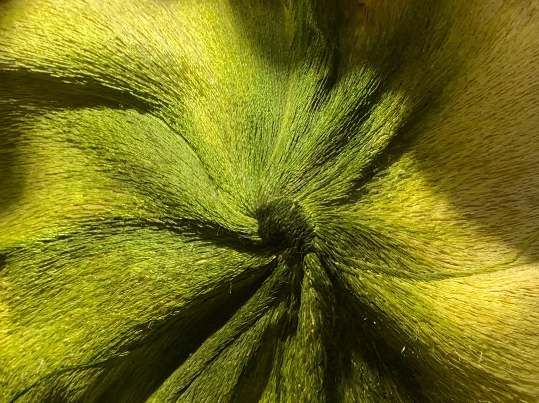 XQ Hand Embroidery-顺化必去景点