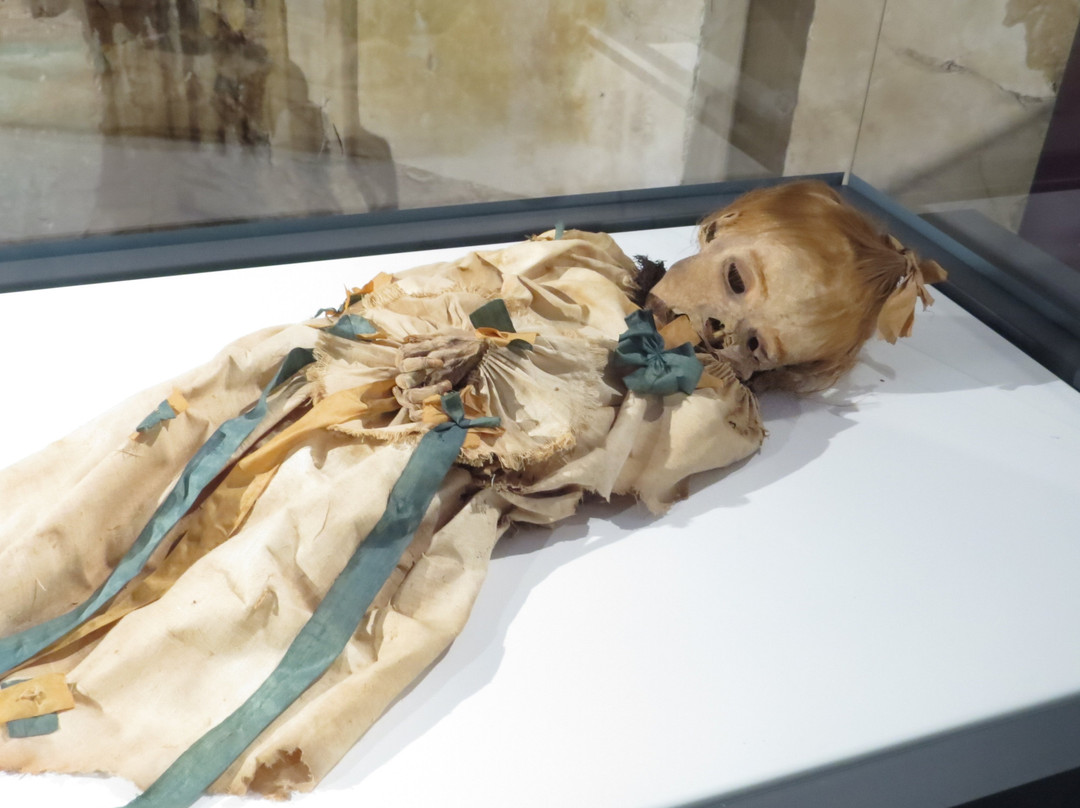 Museo de Momias de Quinto景点图片