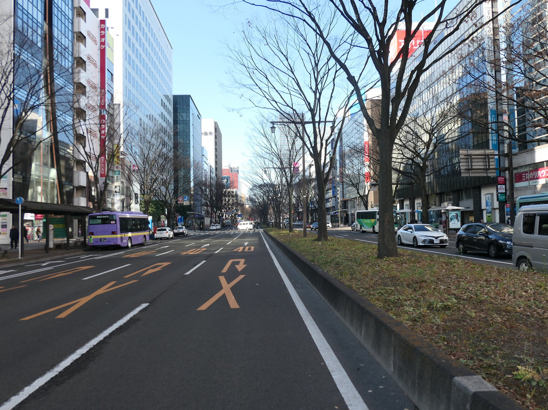 Aoba-dori Avenue-仙台市必去景点