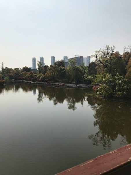 啬园-南通市必去景点