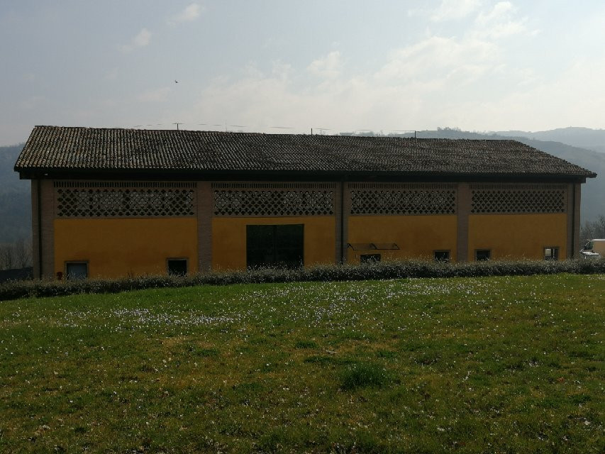 Tenuta di Aljano-Scandiano必去景点