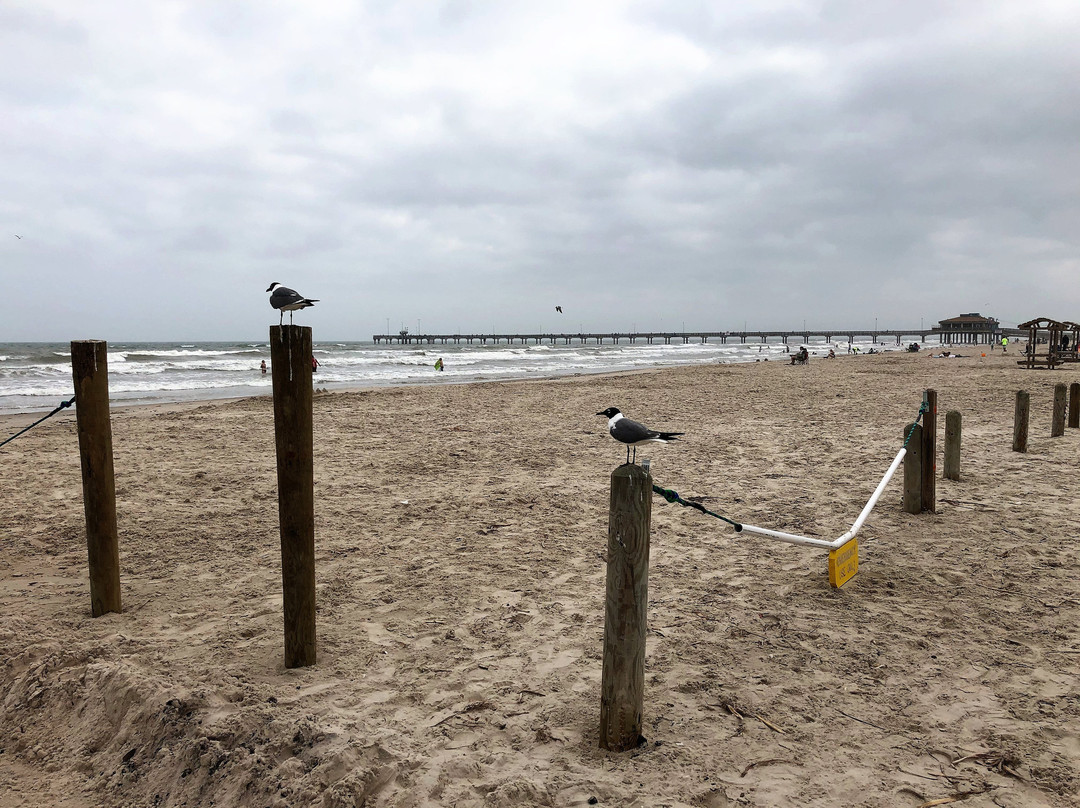 Padre Balli Park-科珀斯克里斯蒂市必去景点