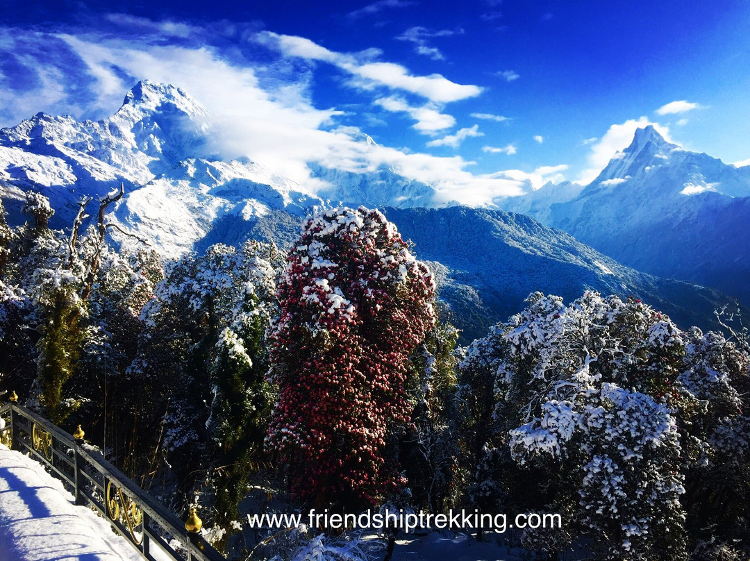 Hotel Grand View, Tadapani主图