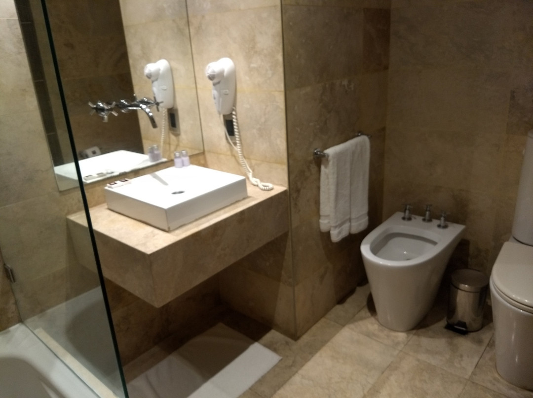 Mod Hotels Mendoza主图