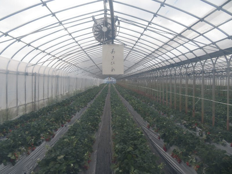 Koyama Farm-山武市必去景点