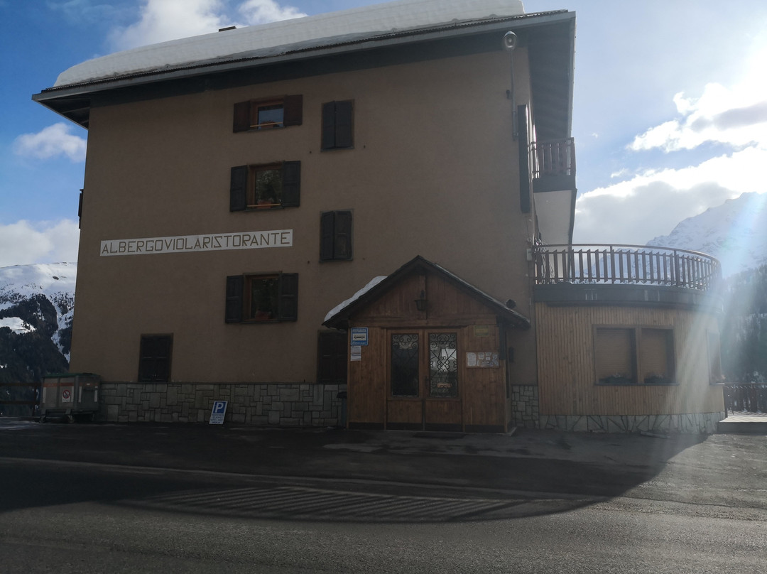 Albergo Viola主图