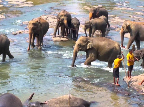 Indi tours-卡卢特勒必去景点