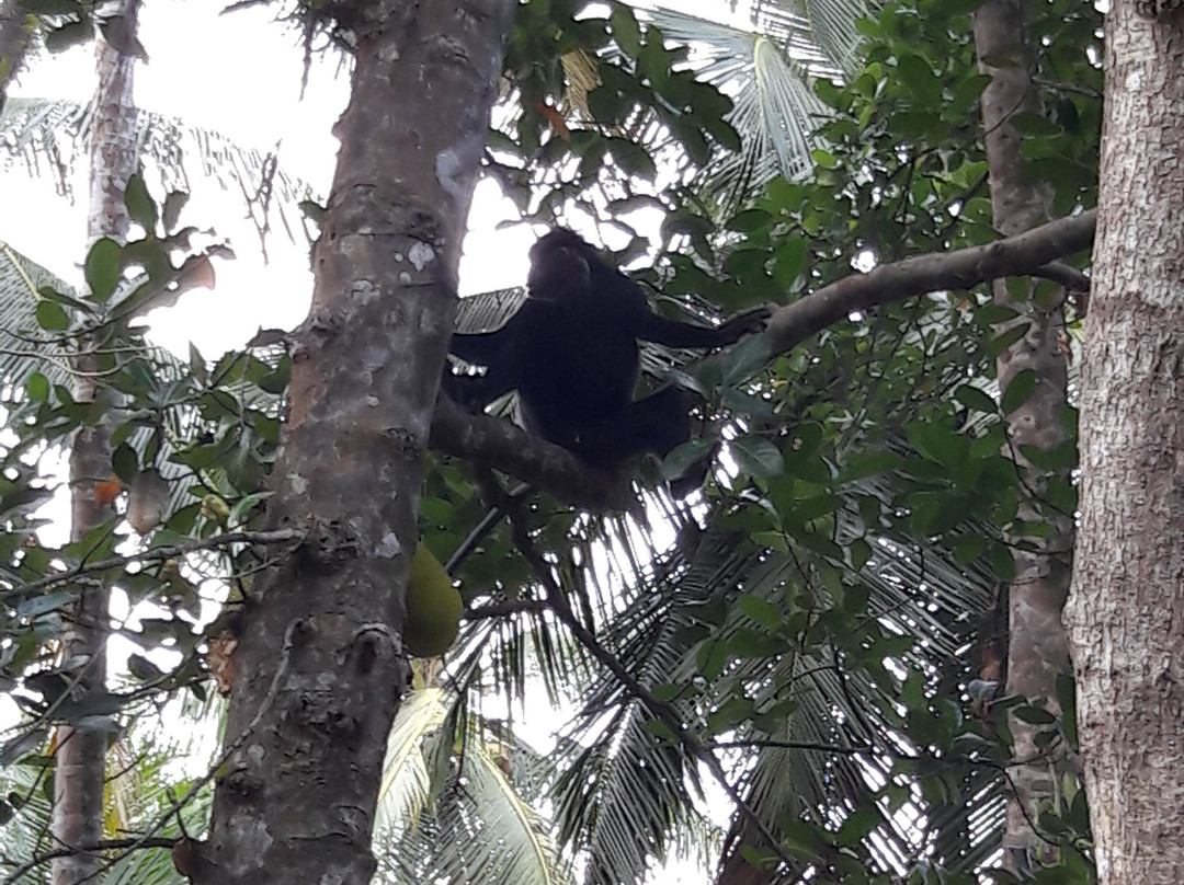 圣殿山酒店主图