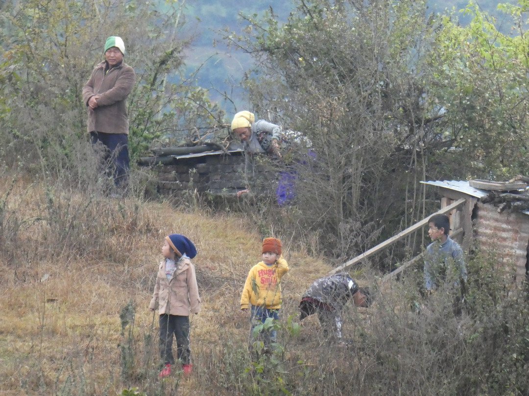 斯利那加酒店主图