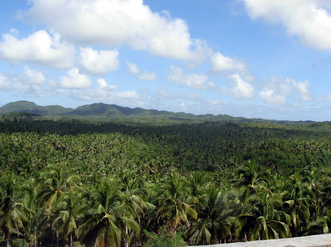 Coconut Trees View Deck-Dapa必去景点