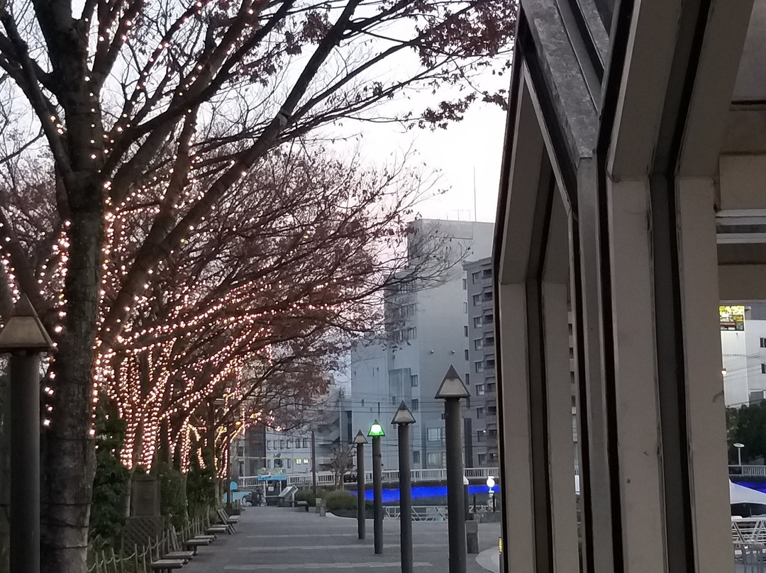 Shimmachi River-德岛市必去景点