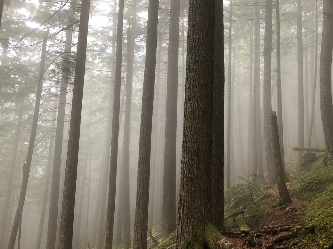 Eaton Lake-霍普必去景点