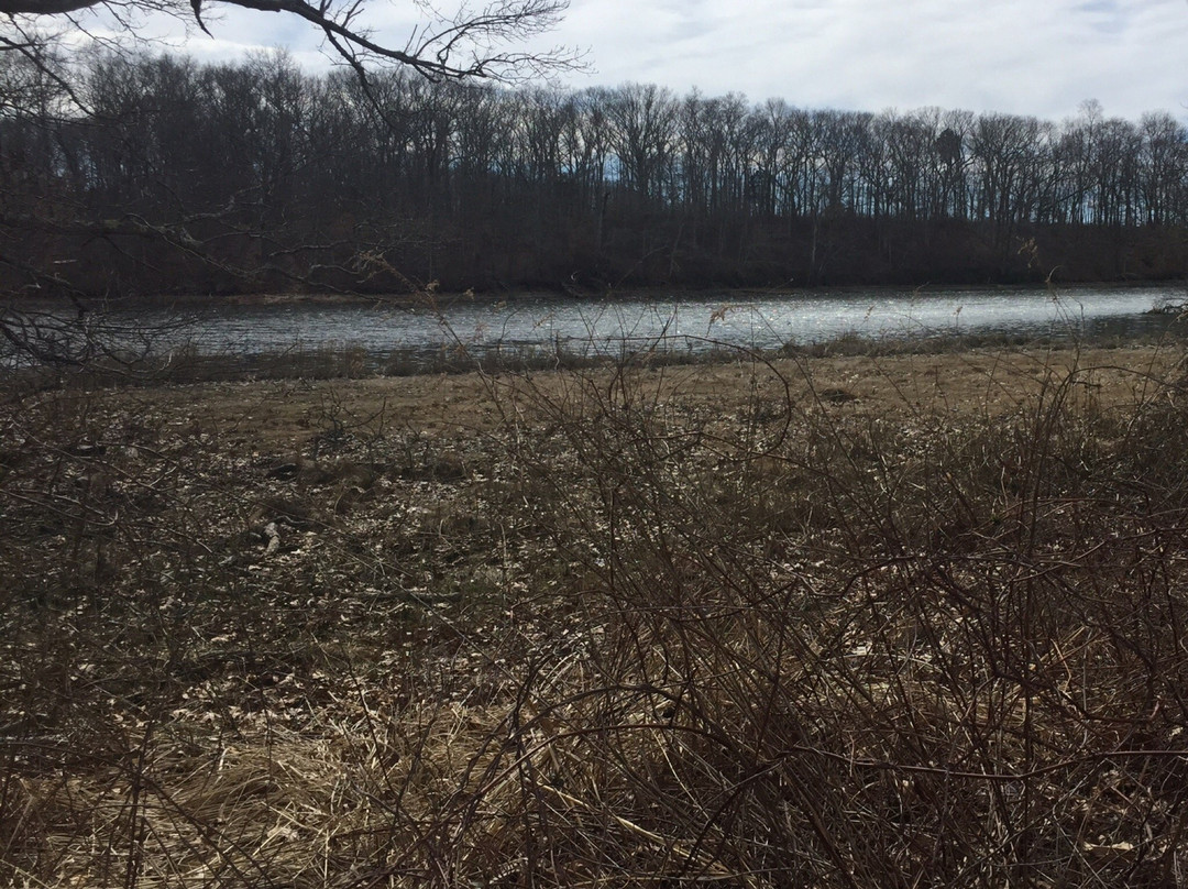 Touisset Marsh Wildlife Refuge景点图片