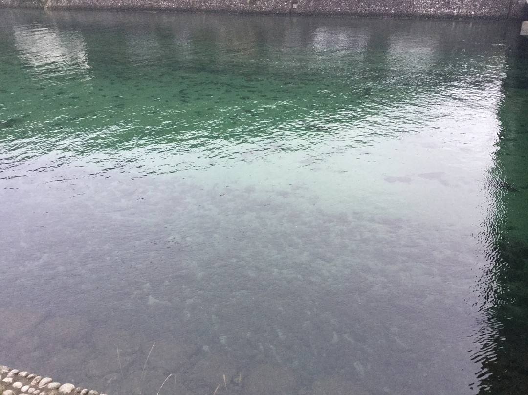 田代别馆主图