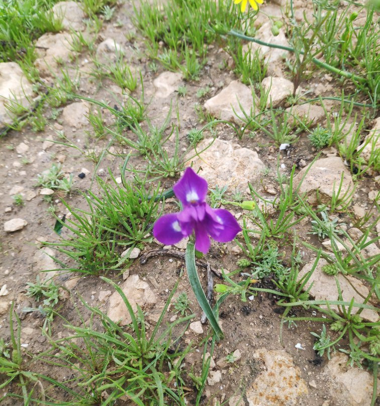 Monument to the Negev Brigade-贝尔谢巴必去景点