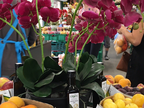 Mrs Jones Fruit Orchard-克伦威尔镇必去景点