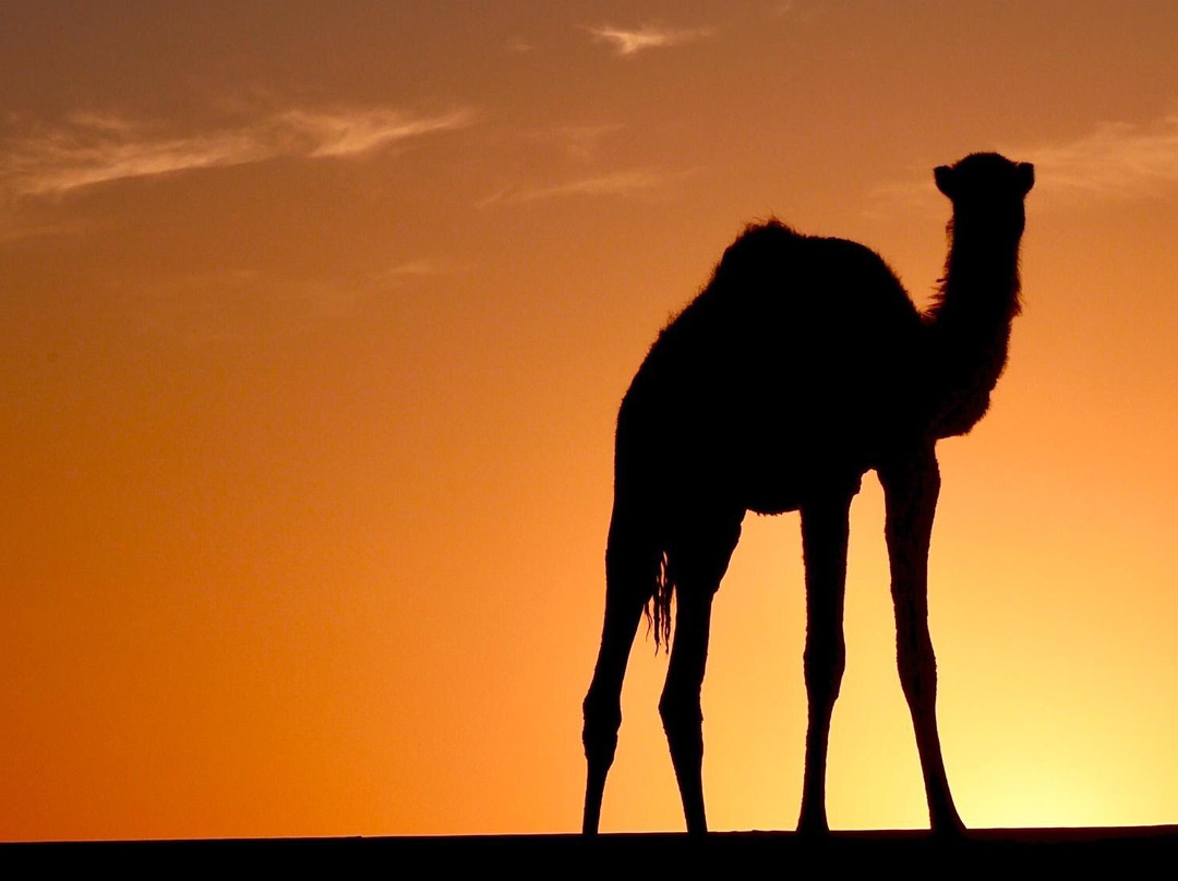 Frauen reisen nach Marokko-萨尔布吕肯必去景点