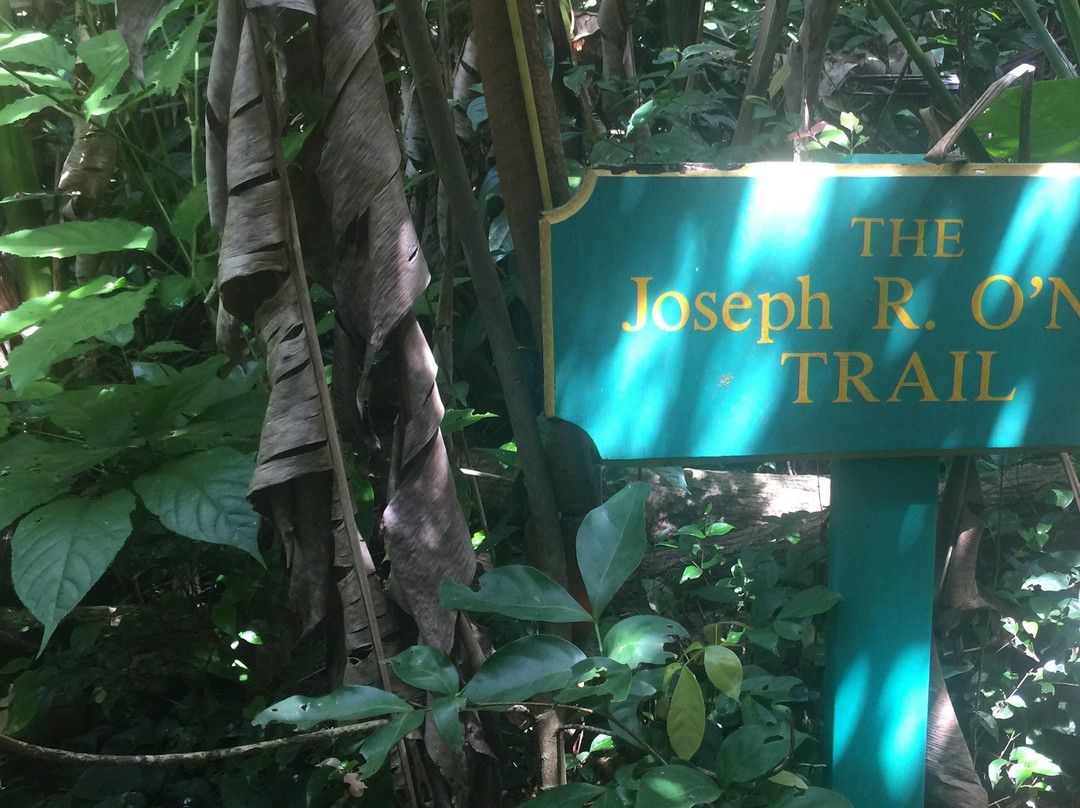 Sage Mountain National Park-托土拉必去景点