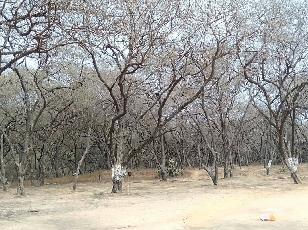 Sowan Beach