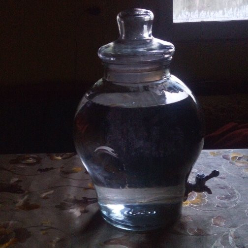 Thanksgiving Point-李海必去景点