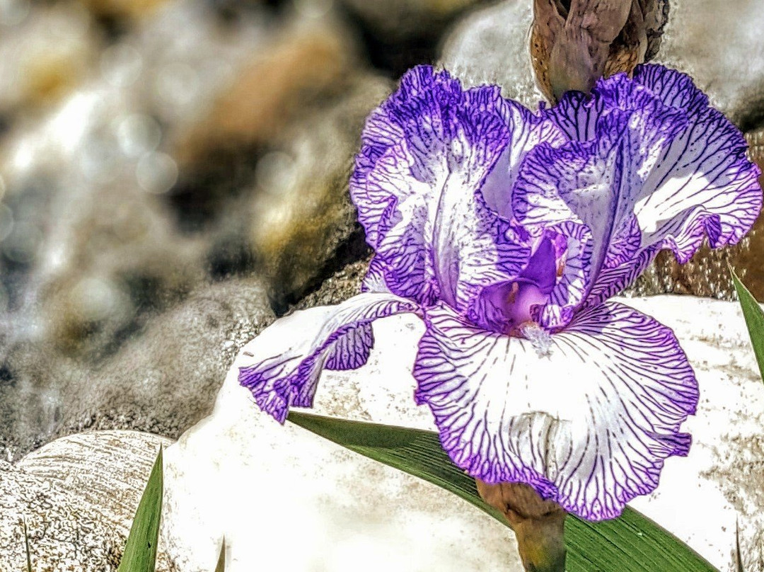 Yucaipa Performing Arts Center-Yucaipa必去景点