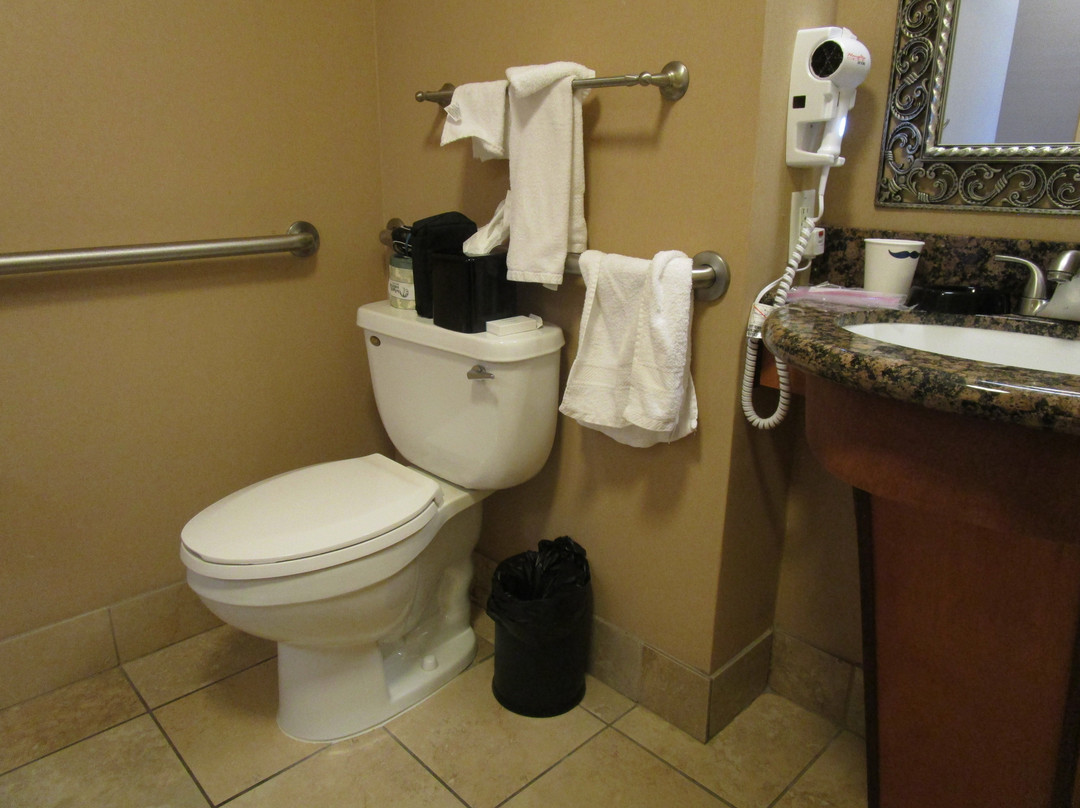 维斯塔司埃拉希尔顿恒庭酒店主图