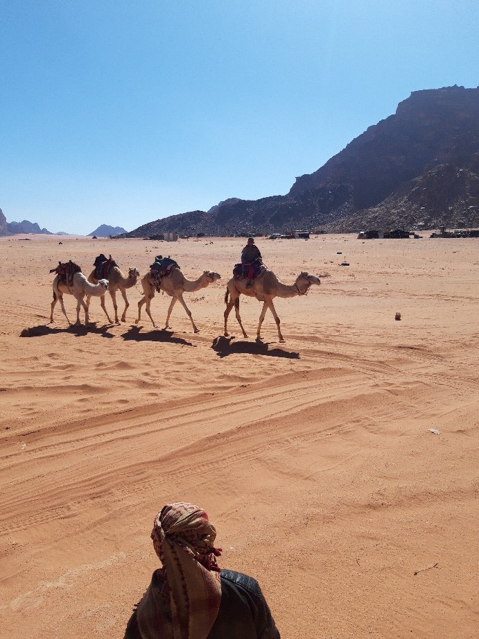 Zawaideh Desert Camp-官方