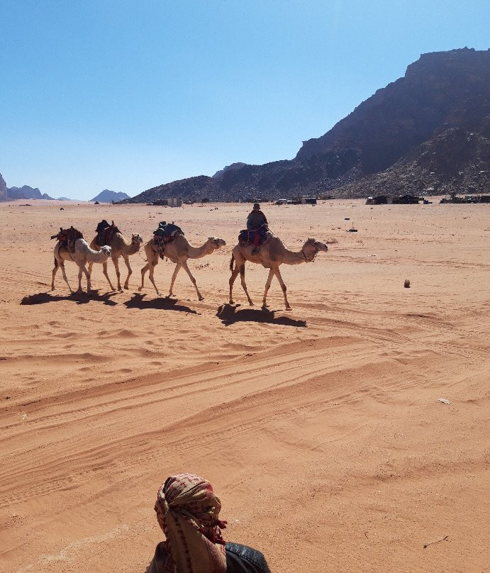 Zawaideh Desert Camp主图