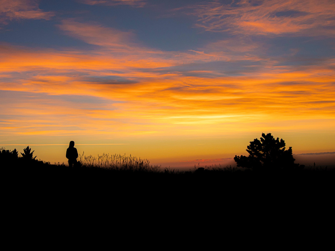 Fresh Tracks Hiking-丹佛必去景点