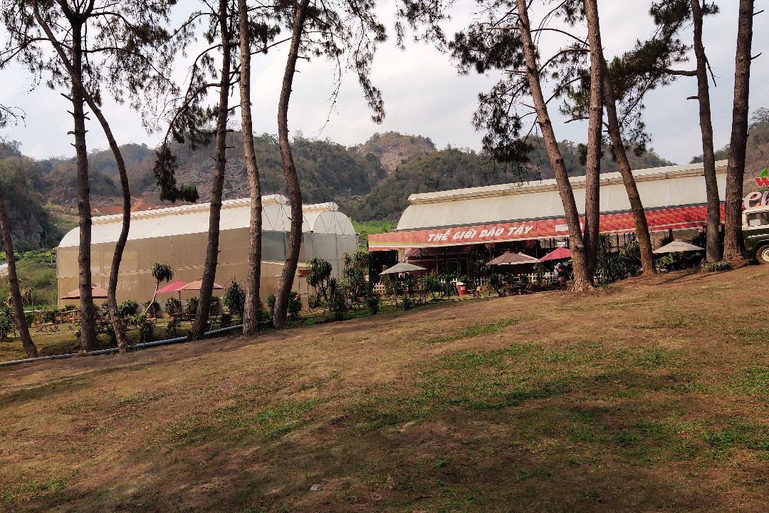 Chimi Farm景点图片