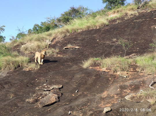 Bush Company-马林地必去景点