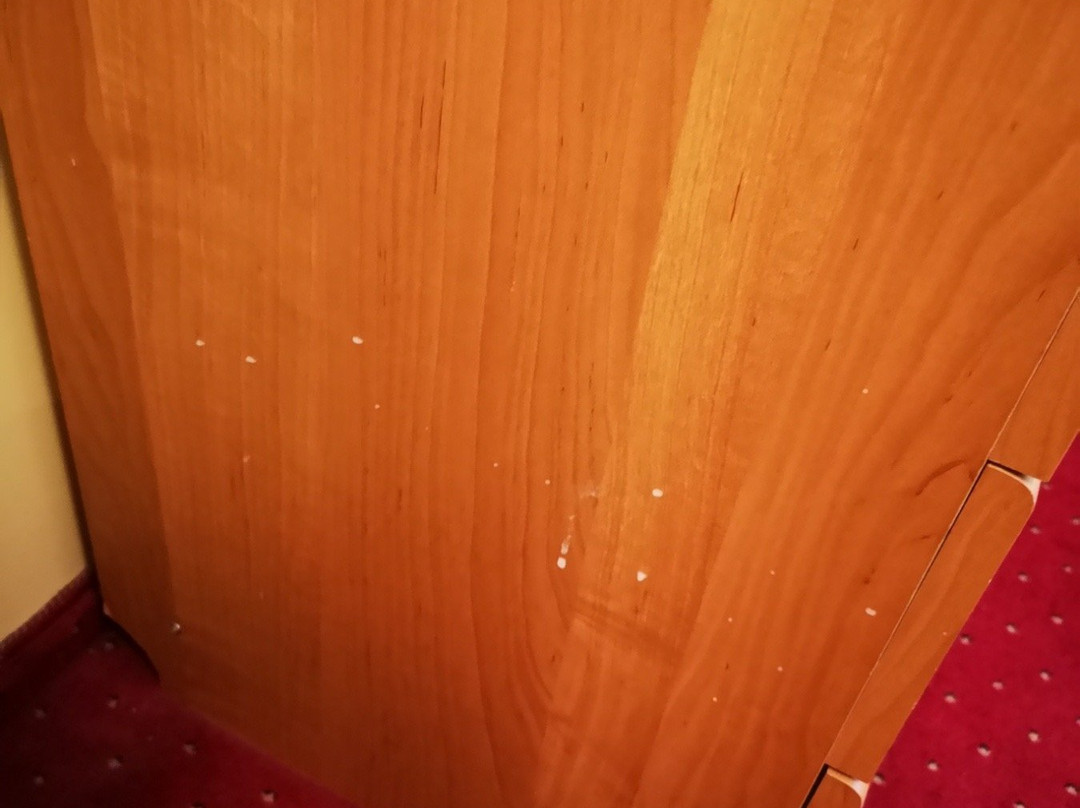 Best Baltic Hotel Palanga主图