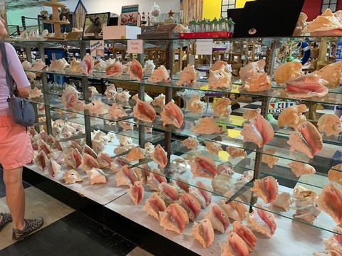 The Shell Factory-迈尔斯堡必去景点