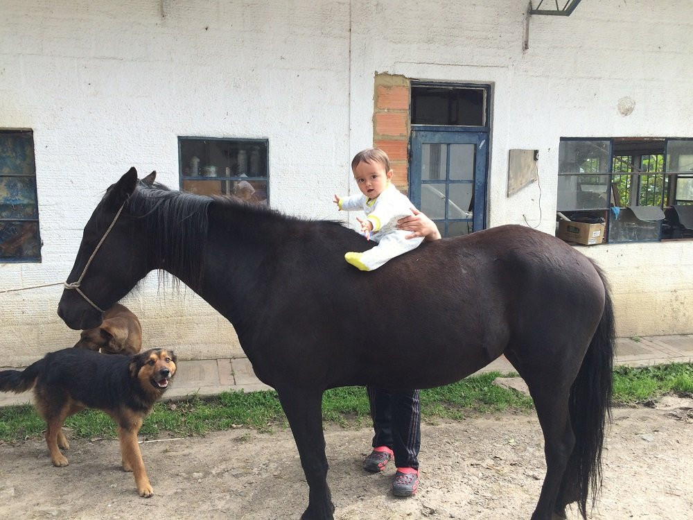 Granja Guacamaya-Chipaque必去景点