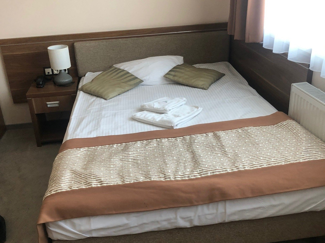 Hotel Polanica Resort & Spa主图