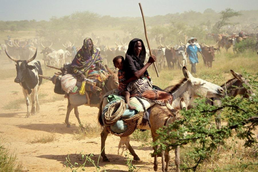 Kanaga Africa Tours-恩加美纳必去景点