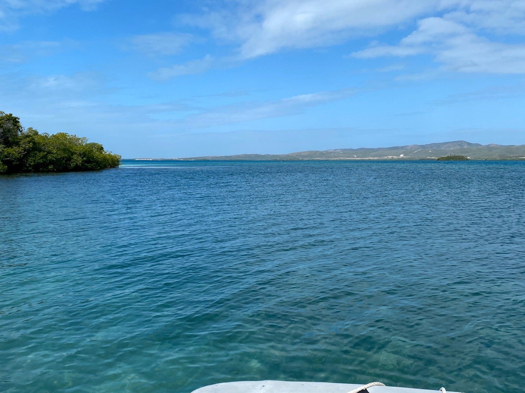 Isla Mata La Gata-La Parguera必去景点