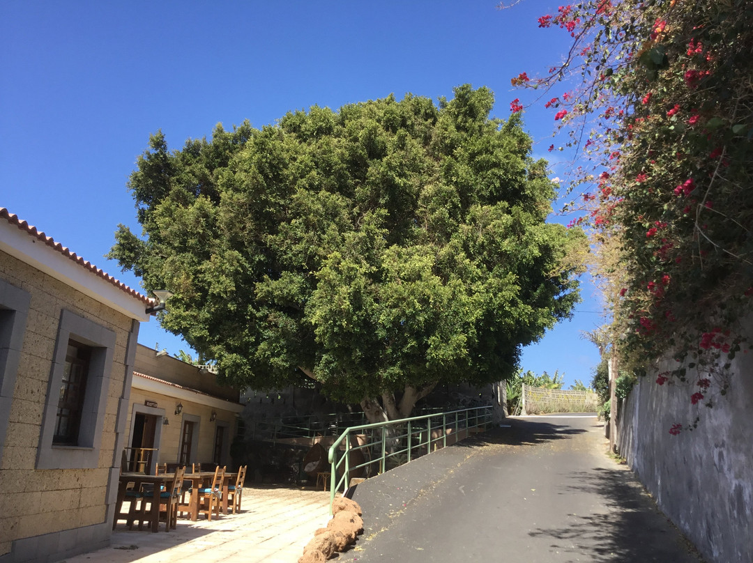 Hotel Rural El Navio - Only Adults主图