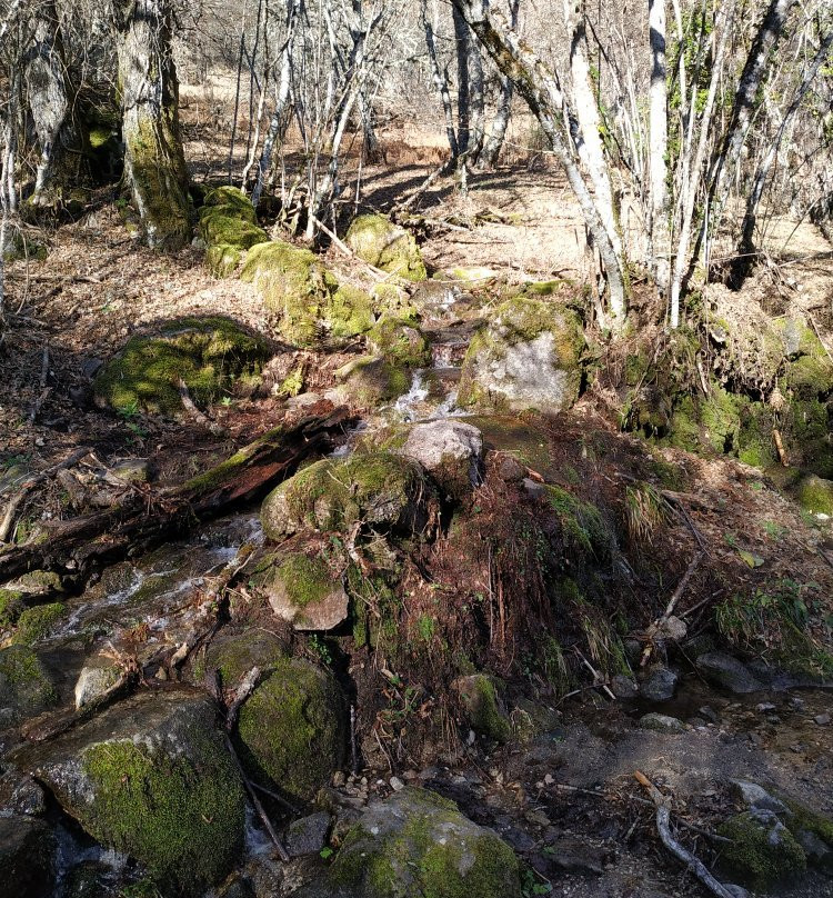 Cascadas de Sotillo景点图片
