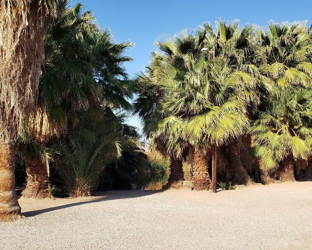 Holtville Hot Spring景点图片