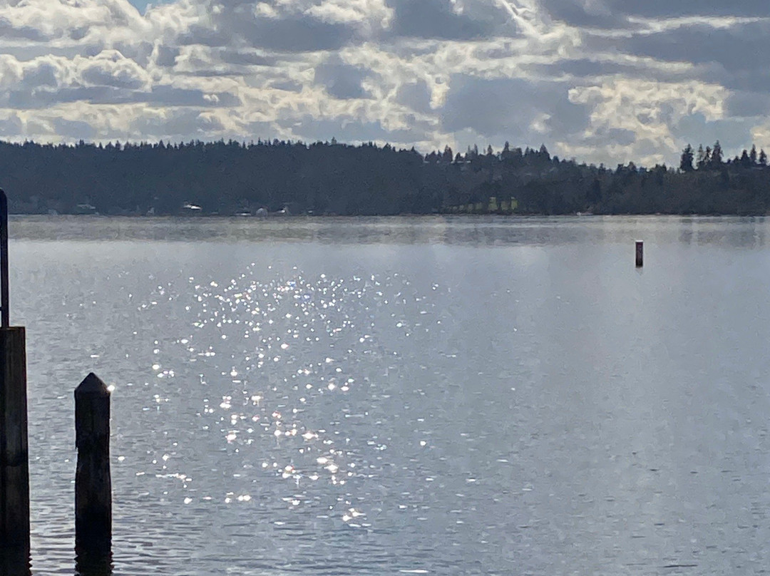 Clyde Beach Park景点图片