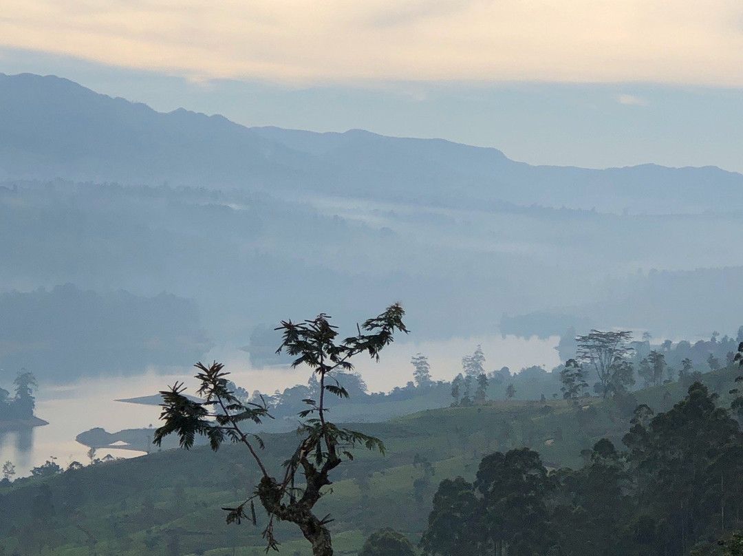 Claverton Cottage主图