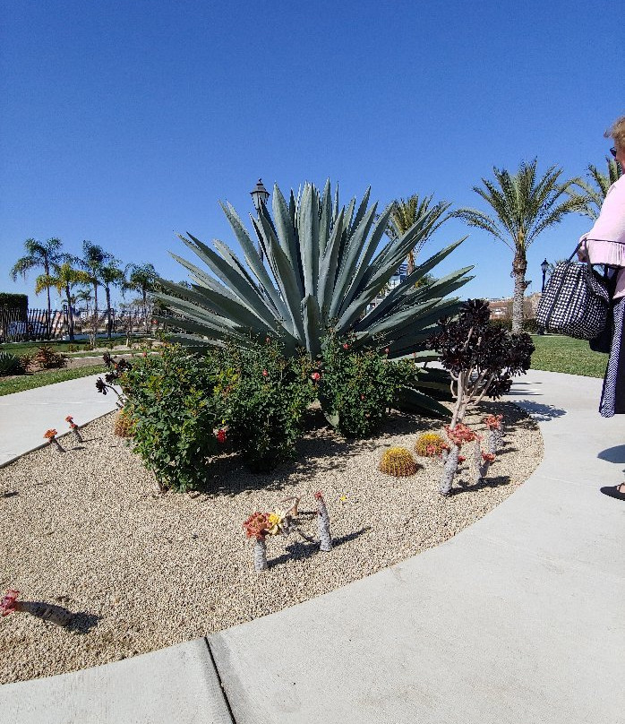 Tijuana México Temple-蒂华纳必去景点