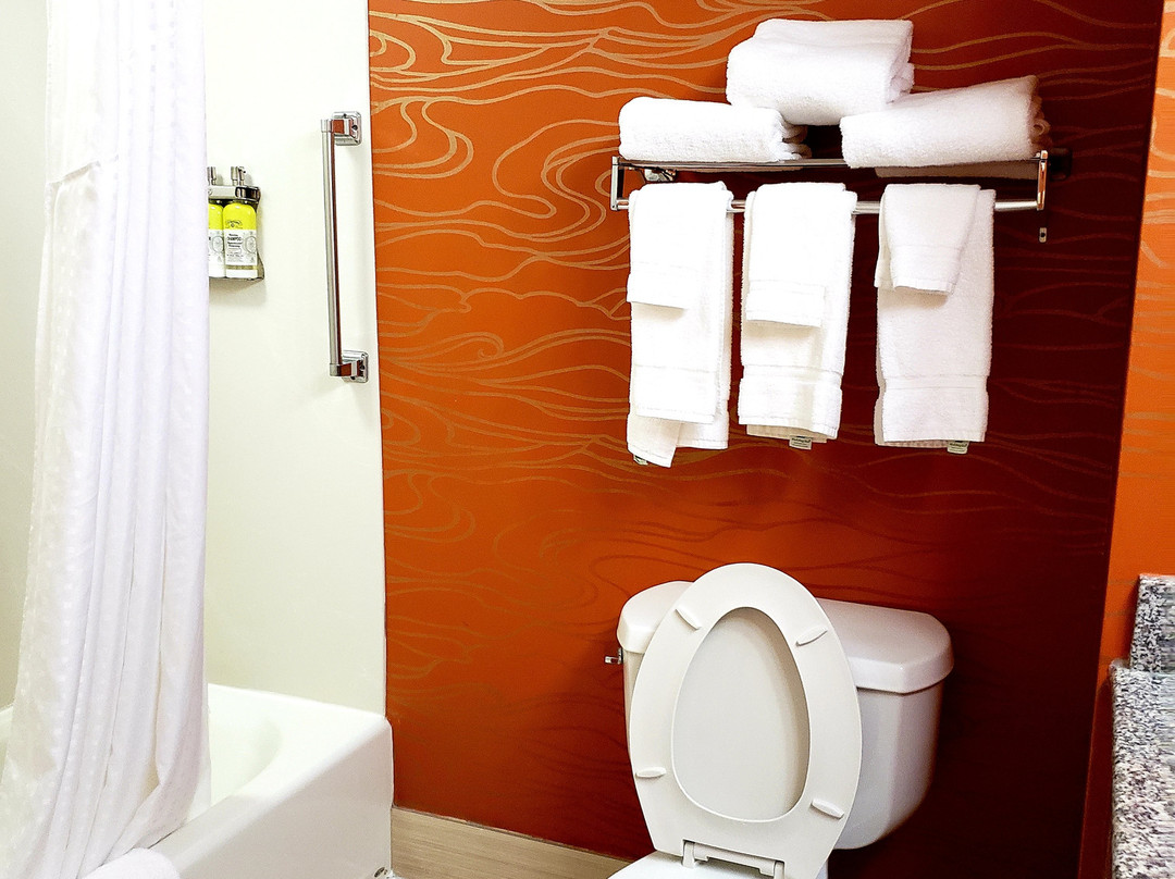 Holiday Inn Express & Suites Richmond-Brandermill-Hull St. by IHG主图